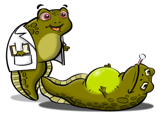 Illustration of a doctor examining a tadpole.